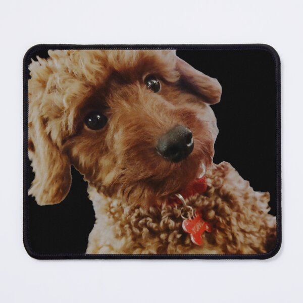 Item preview, Beautiful and wise designed and sold by PumpkinStudioPL.