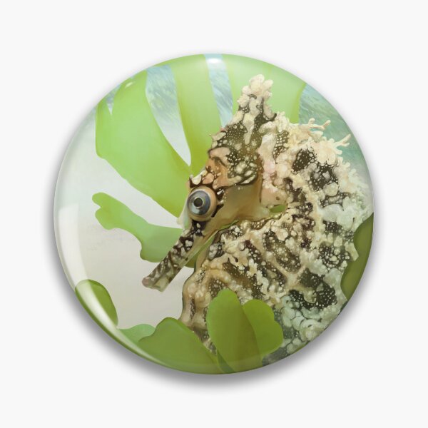 Item preview, White's Seahorse (Hippocampus whitei) designed and sold by MagpieShrike.