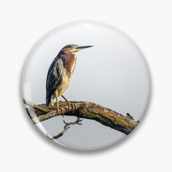 Item preview, Green Heron on a Weathered Perch designed and sold by Debra Martz.