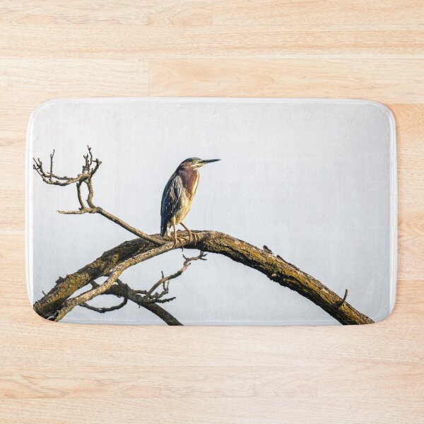 Item preview, Green Heron on a Weathered Perch designed and sold by Debra Martz.