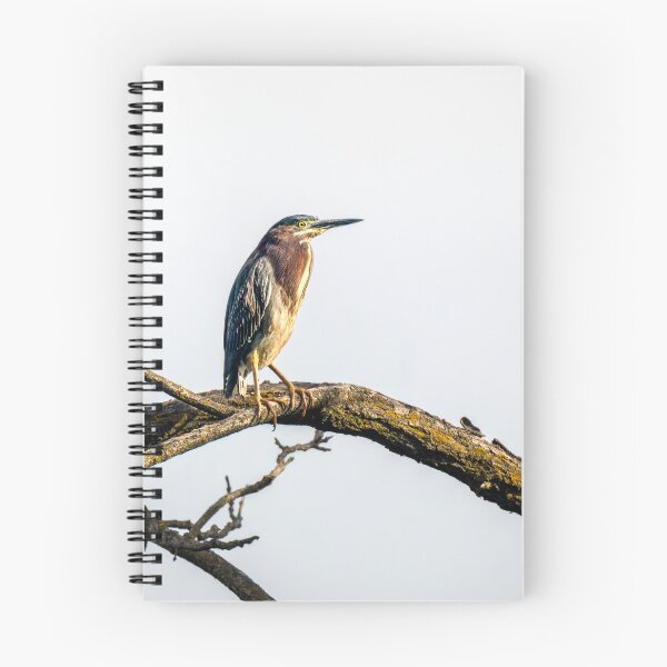Item preview, Green Heron on a Weathered Perch designed and sold by Debra Martz.