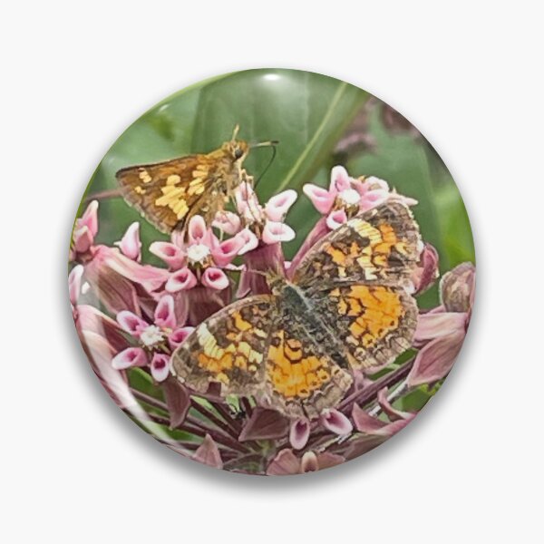 Item preview, Double Butterfly designed and sold by Photography by Annette Matrow.