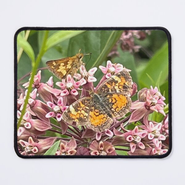 Item preview, Double Butterfly designed and sold by Photography by Annette Matrow.