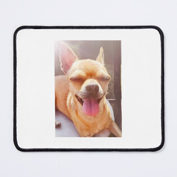Item preview, Chihuahuas designed and sold by Kasia1987t.