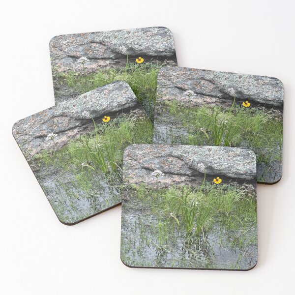 Item preview, Fairy Pool at Enchanted Rock Texas designed and sold by Photography by Annette Matrow.