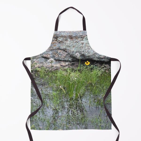 Item preview, Fairy Pool at Enchanted Rock Texas designed and sold by Photography by Annette Matrow.