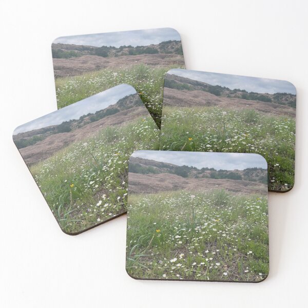 Aperçu de l'œuvre Fleurs sauvages à Enchanted Rock créée et vendue par Photography by Annette Matrow.