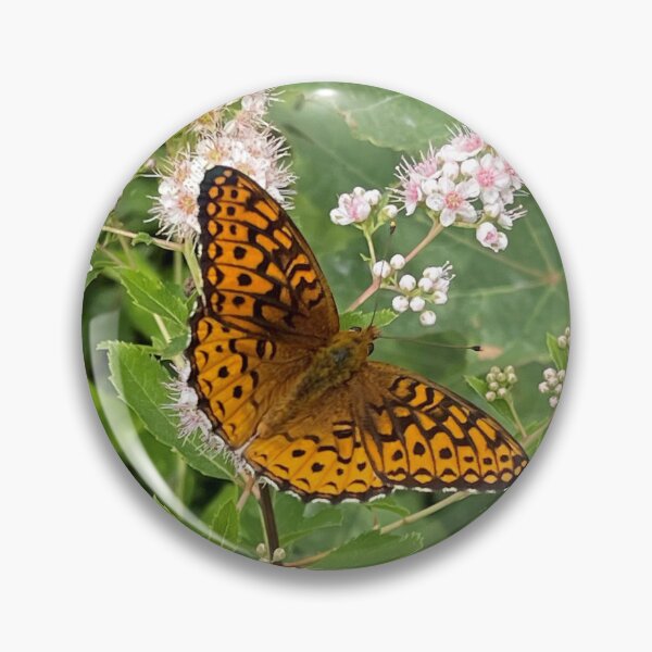 Item preview, Meadowsweet Flowers with a Great Spangled Fritillary designed and sold by Photography by Annette Matrow.