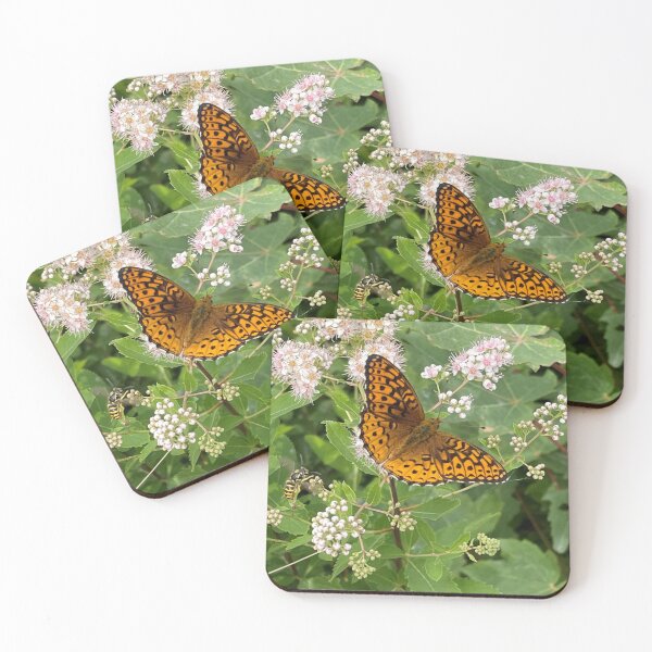 Item preview, Meadowsweet Flowers with a Great Spangled Fritillary designed and sold by Photography by Annette Matrow.