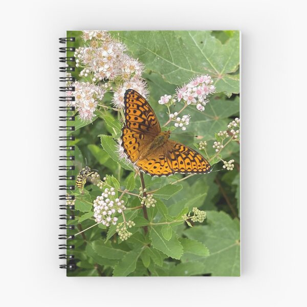 Item preview, Meadowsweet Flowers with a Great Spangled Fritillary designed and sold by Photography by Annette Matrow.