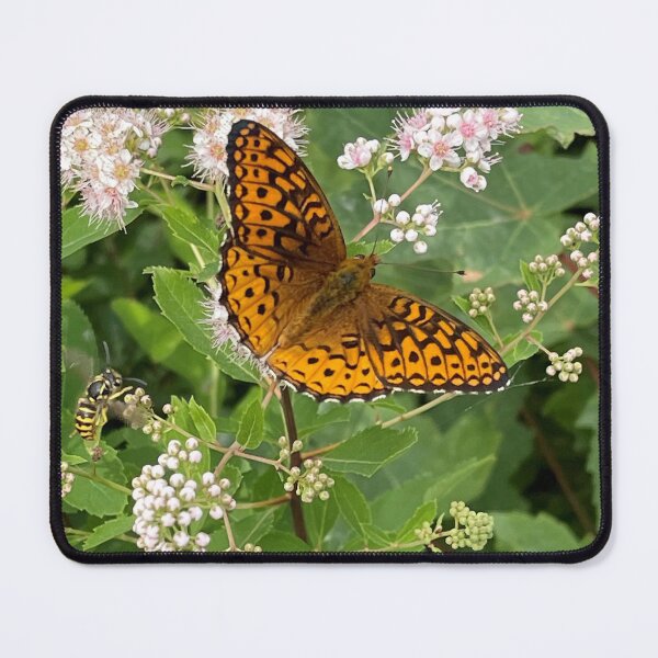 Item preview, Meadowsweet Flowers with a Great Spangled Fritillary designed and sold by Photography by Annette Matrow.