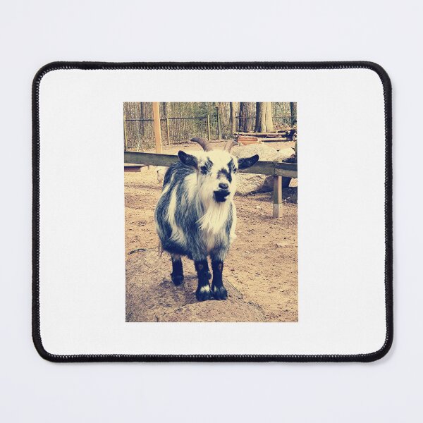 Item preview, goat designed and sold by Kasia1987t.
