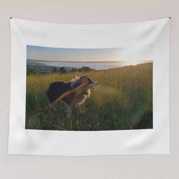 Item preview, Lighten Up. designed and sold by Michael Haslam.