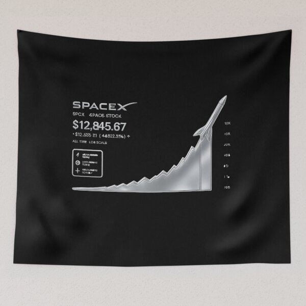 Artikelvorschau, SpaceX-Investor | Spekulationen zum SpaceX-Börsengang | Design entworfen und verkauft von TEEJAMBOREE.