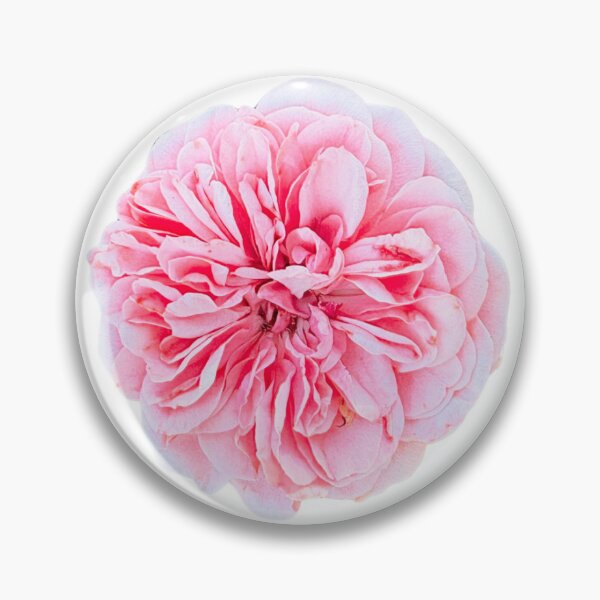 Item preview, Pink Shrub Rose designed and sold by My3girls74.