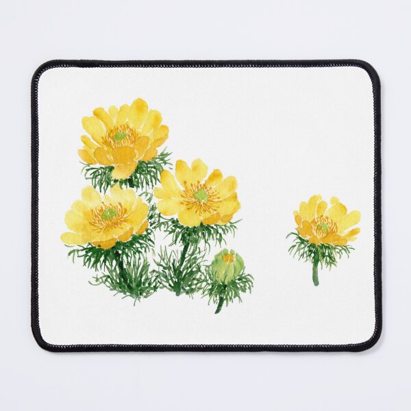 Item preview, February 26th birthday flower Adonis amurensis designed and sold by birthflower.
