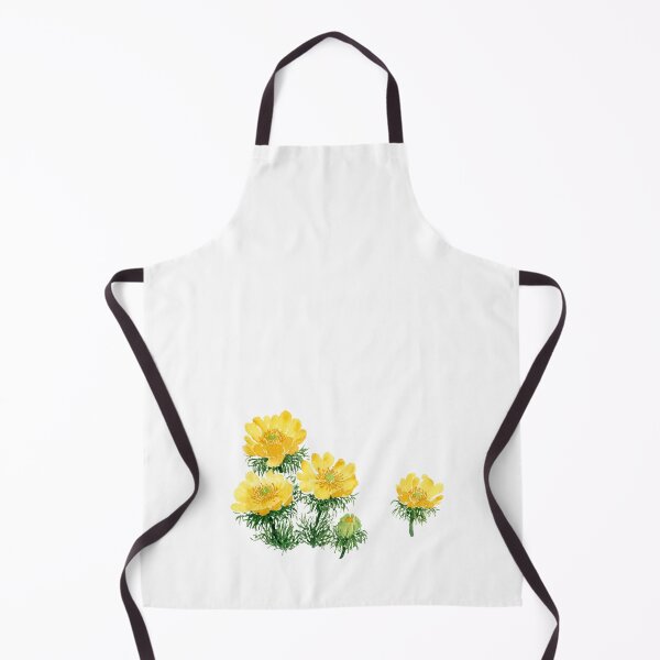 Item preview, February 26th birthday flower Adonis amurensis designed and sold by birthflower.