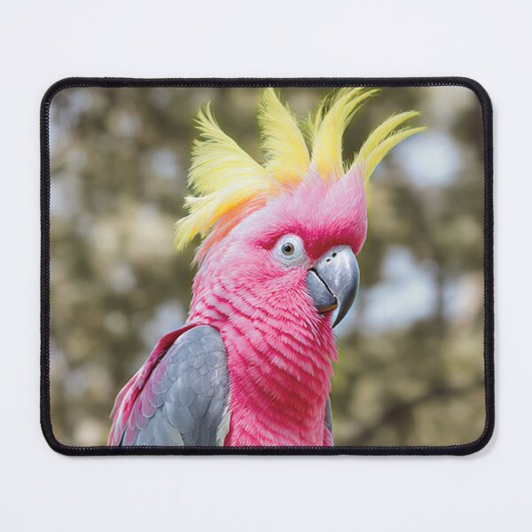 Item preview, Galah Cockatoo of Auss designed and sold by TeesofAuss.