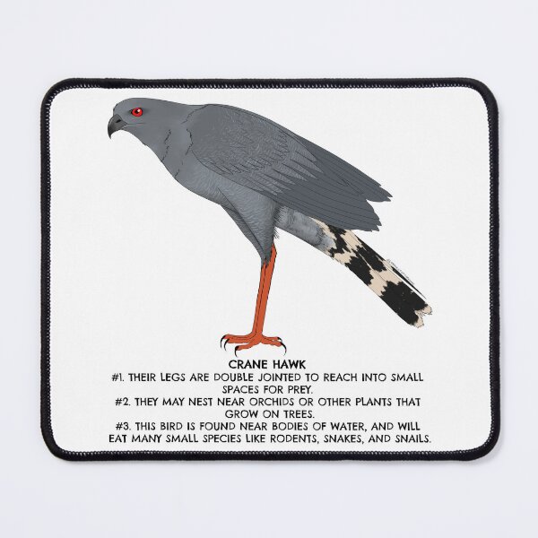 Item preview, Crane Hawk designed and sold by LordWolff.