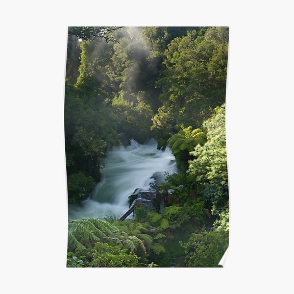 Okere Falls Poster