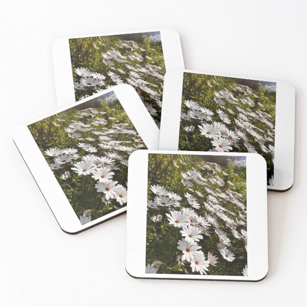Item preview, Blooming designed and sold by PrezMollymook.