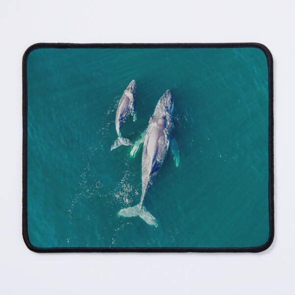 Item preview, Motherly Love - Humpback Whales  designed and sold by PrezMollymook.