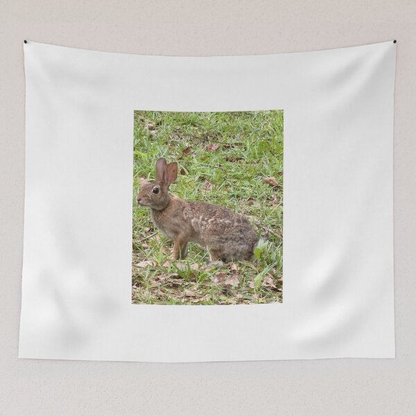 Item preview, Curious Wild Bunnies in a Meadow. designed and sold by Pearls1.