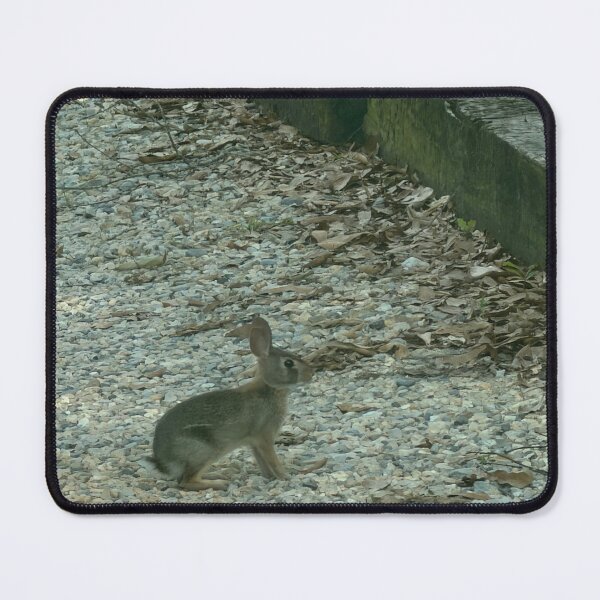 Item preview, Baby Bunny Exploring a Sunlit Meadow. designed and sold by Pearls1.