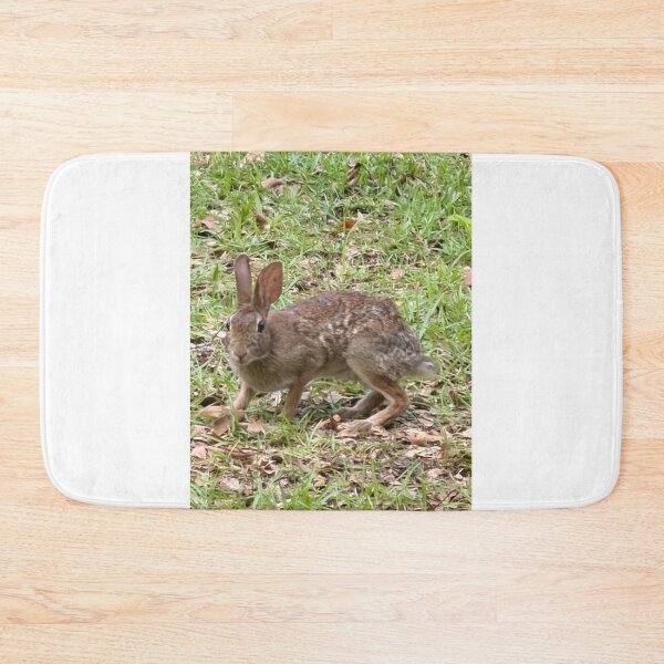 Item preview, Adorable Baby Bunny Nestled in Soft Grass. designed and sold by Pearls1.