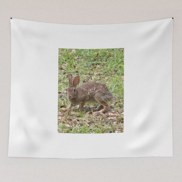 Item preview, Adorable Baby Bunny Nestled in Soft Grass. designed and sold by Pearls1.