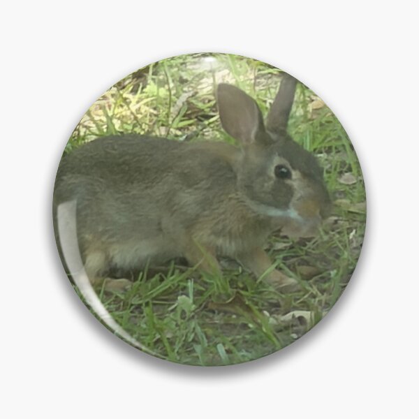 Item preview, Wild Bunny in a Natural Meadow Setting. designed and sold by Pearls1.