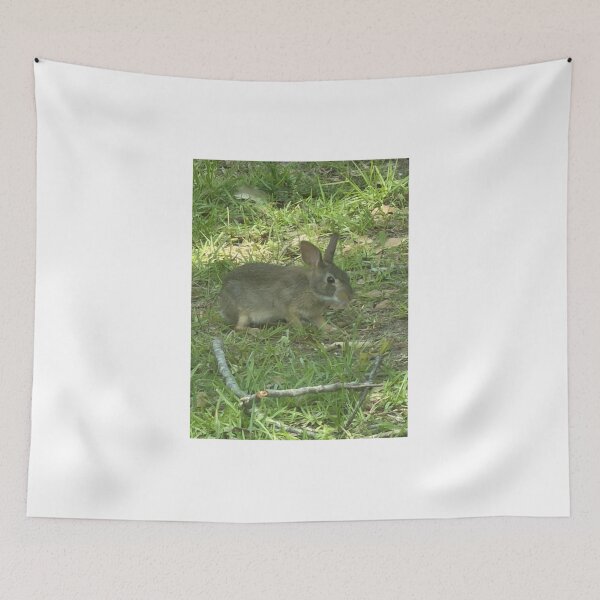 Item preview, Wild Bunny in a Natural Meadow Setting. designed and sold by Pearls1.
