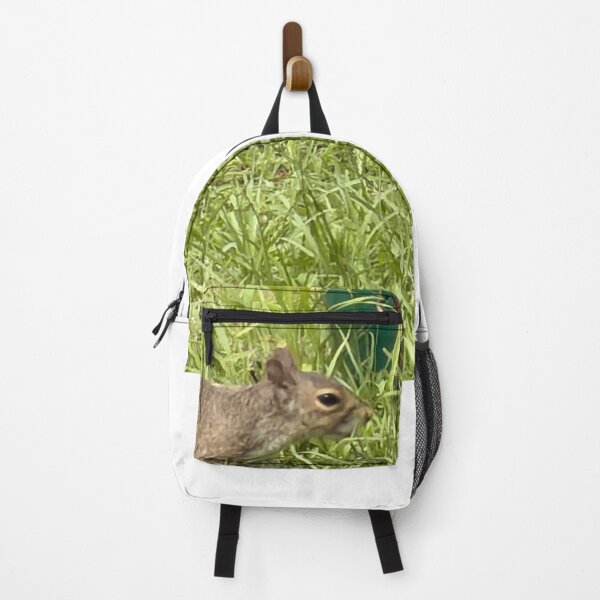 Item preview, Gray Squirrel Foraging in a Woodland Setting designed and sold by Pearls1.
