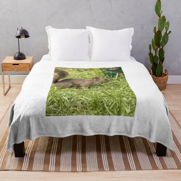 Item preview, Gray Squirrel Foraging in a Woodland Setting designed and sold by Pearls1.
