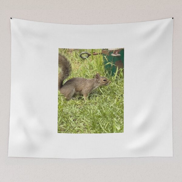 Item preview, Gray Squirrel Foraging in a Woodland Setting designed and sold by Pearls1.