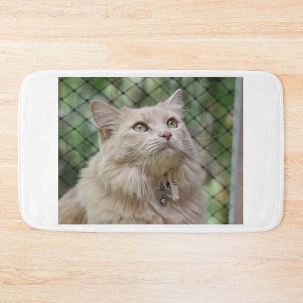 Item preview, Fluffy Buff Long Haired Cat Portrait designed and sold by 27Tammy27.