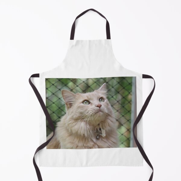 Item preview, Fluffy Buff Long Haired Cat Portrait designed and sold by 27Tammy27.