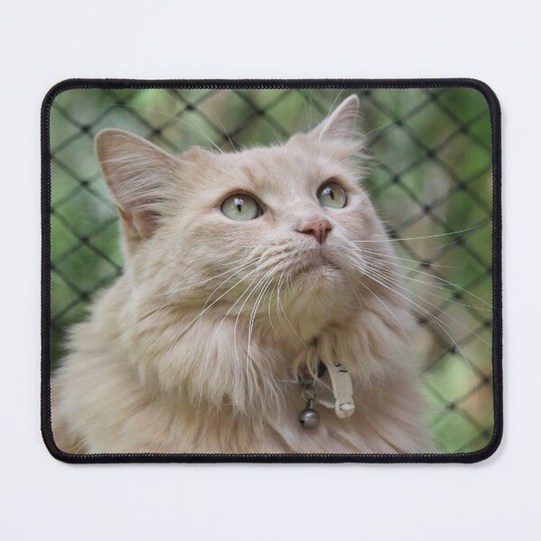Item preview, Fluffy Buff Long Haired Cat Portrait designed and sold by 27Tammy27.