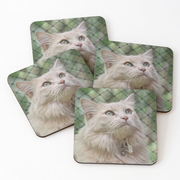 Item preview, Fluffy Buff Long Haired Cat Portrait designed and sold by 27Tammy27.
