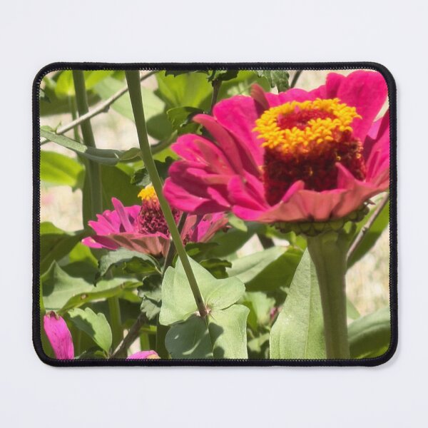 Item preview, Colorful Zinnia Flowers Blooming in a Summer Garden. designed and sold by Pearls1.