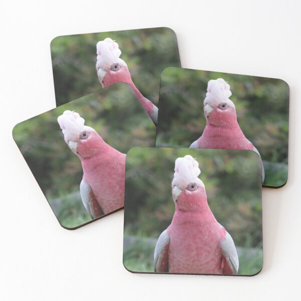 Item preview, Australian Galah Cockatoo On Green Grass designed and sold by 27Tammy27.