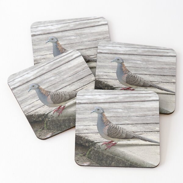 Item preview, Bar Shouldered Dove On Timber Boardwalk designed and sold by 27Tammy27.