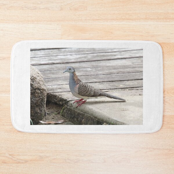 Item preview, Bar Shouldered Dove On Timber Boardwalk designed and sold by 27Tammy27.