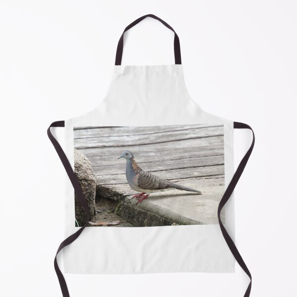 Item preview, Bar Shouldered Dove On Timber Boardwalk designed and sold by 27Tammy27.