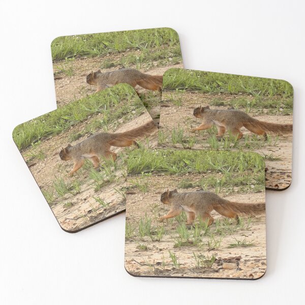 Item preview, Fox Squirrel in a Forest Canopy. designed and sold by Pearls1.