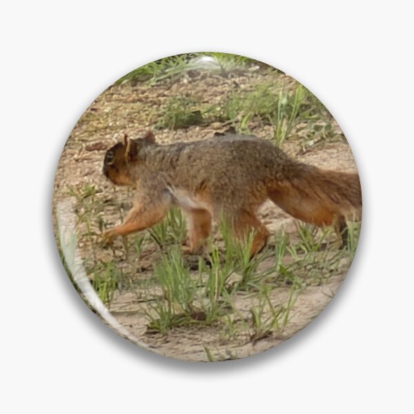 Item preview, Fox Squirrel in a Forest Canopy. designed and sold by Pearls1.