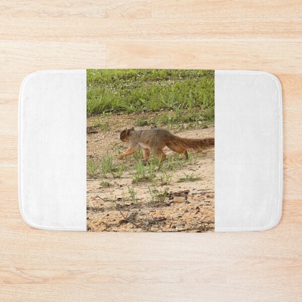 Item preview, Fox Squirrel in a Forest Canopy. designed and sold by Pearls1.