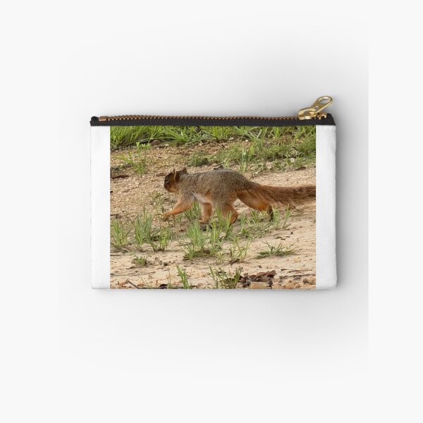 Item preview, Fox Squirrel in a Forest Canopy. designed and sold by Pearls1.