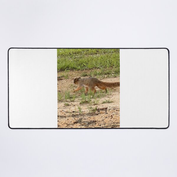 Item preview, Fox Squirrel in a Forest Canopy. designed and sold by Pearls1.
