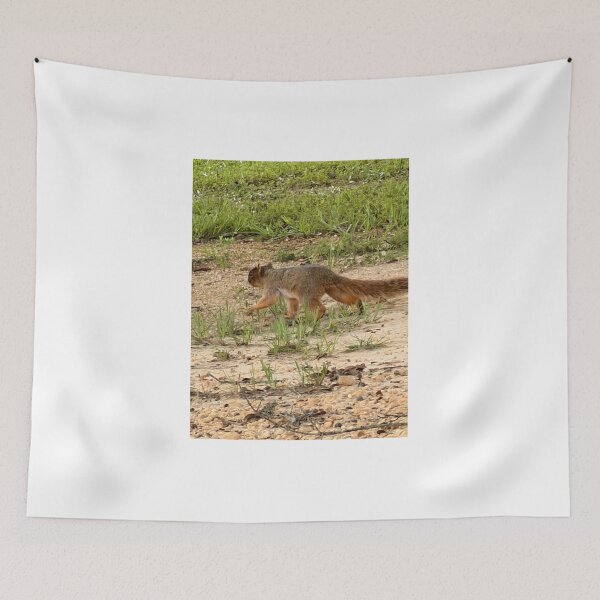 Item preview, Fox Squirrel in a Forest Canopy. designed and sold by Pearls1.